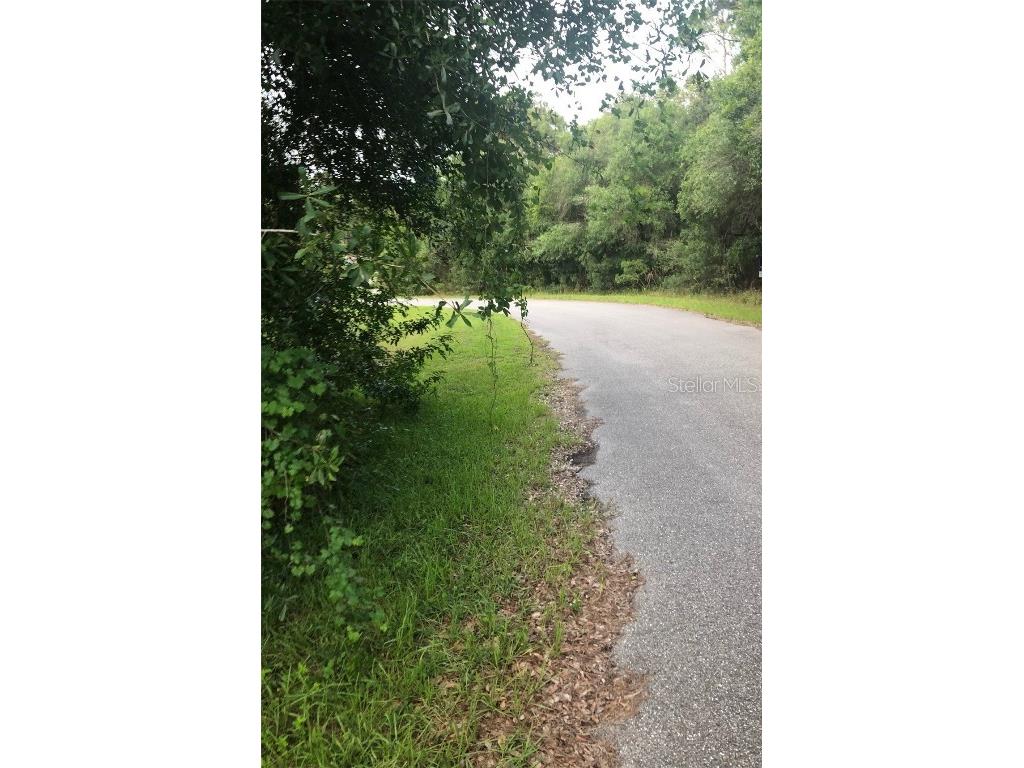 Hagedom Avenue North Port FL 34291 C7494367 image1