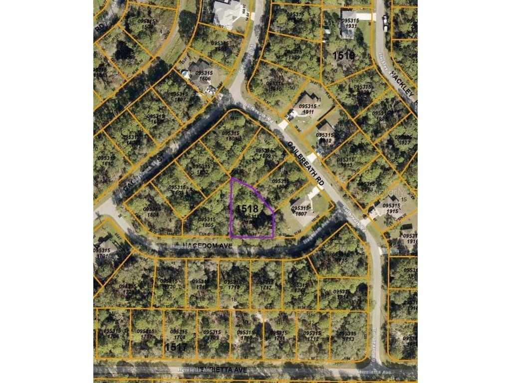 Hagedom Avenue North Port FL 34291 C7494367 image2