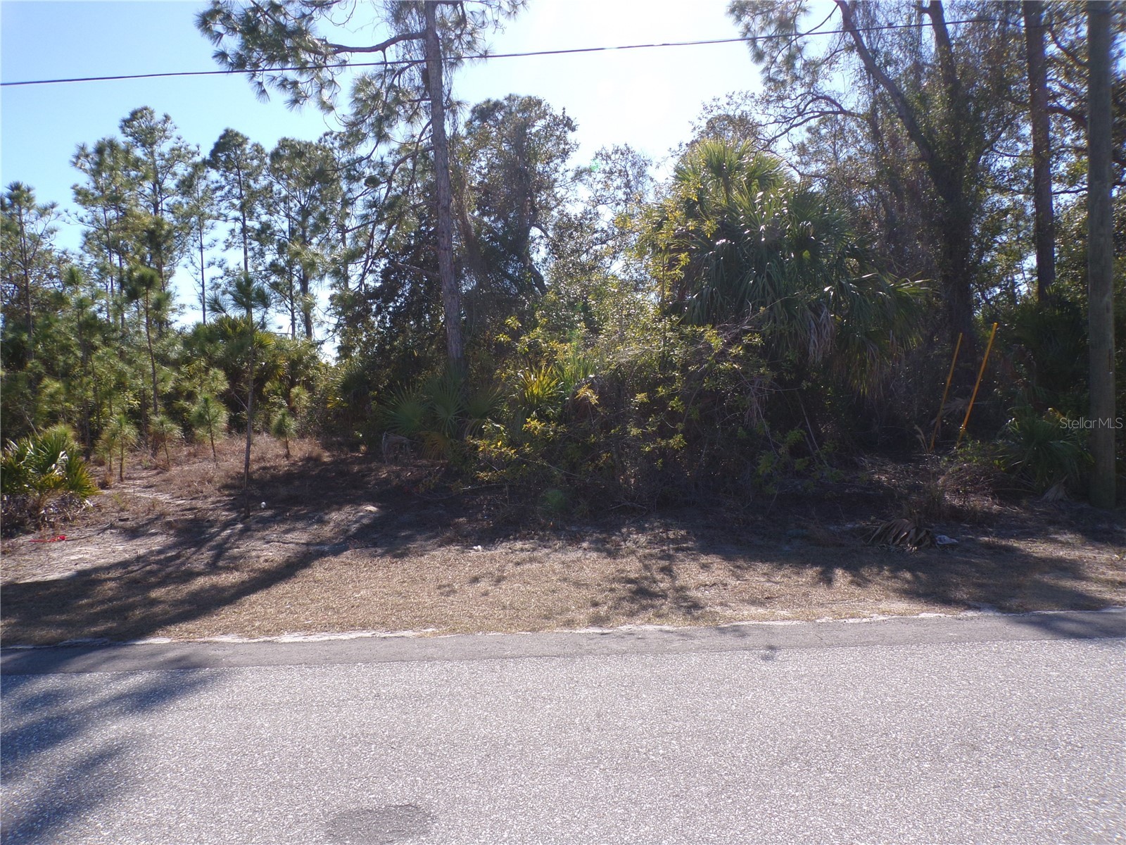 Hagerick Lane North Port FL 34288 C7521969 image1