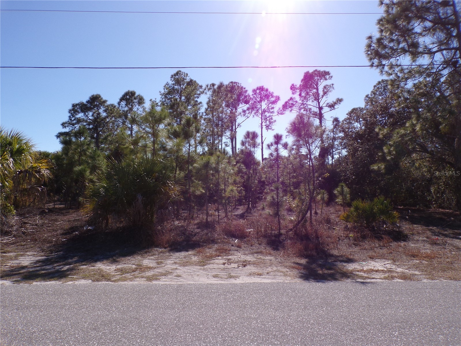 Hagerick Lane North Port FL 34288 C7521969 image2