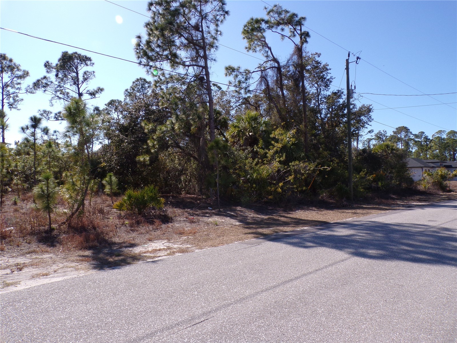 Hagerick Lane North Port FL 34288 C7521969 image3