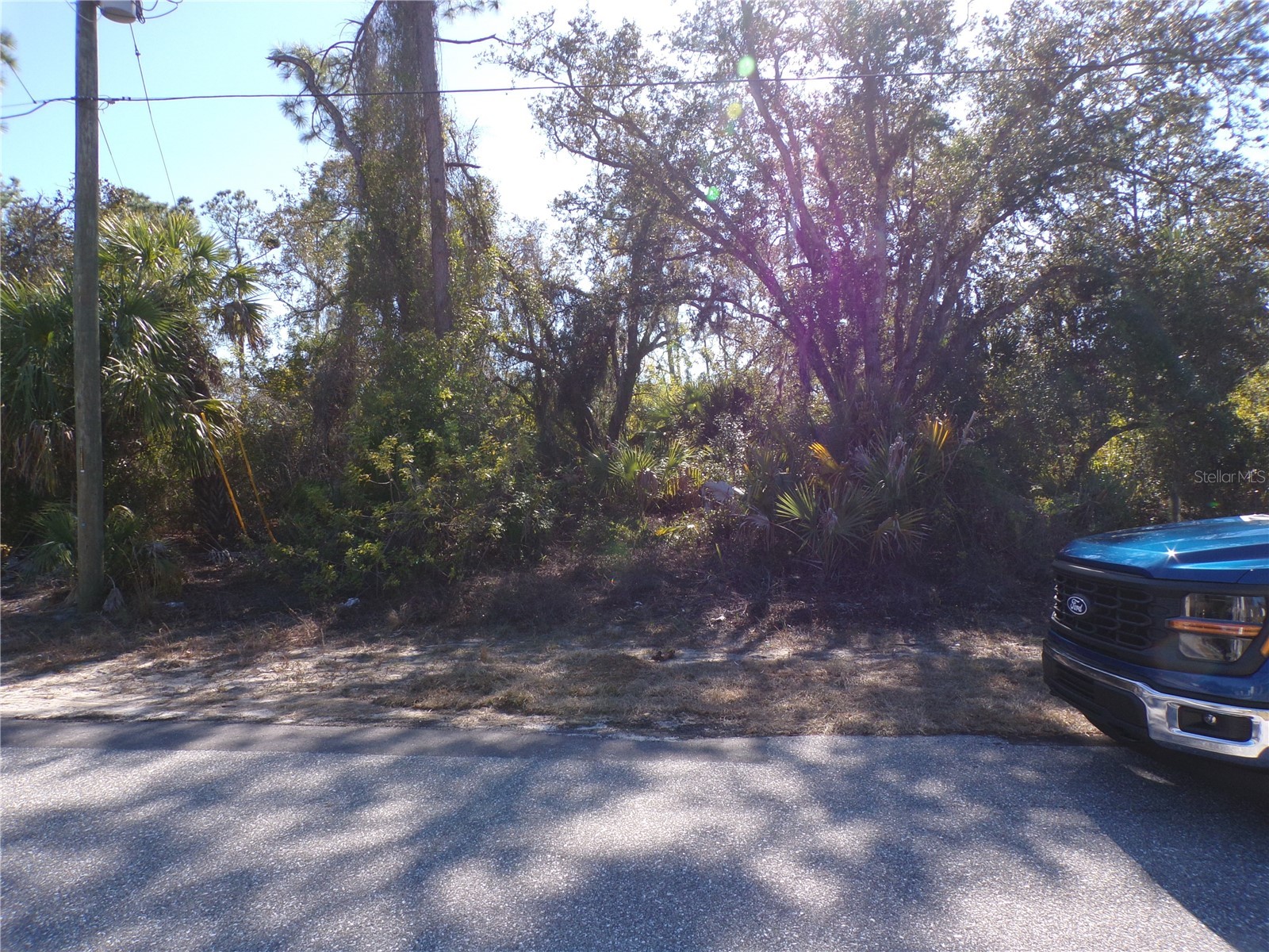 Hagerick Lane North Port FL 34288 C7521969 image5