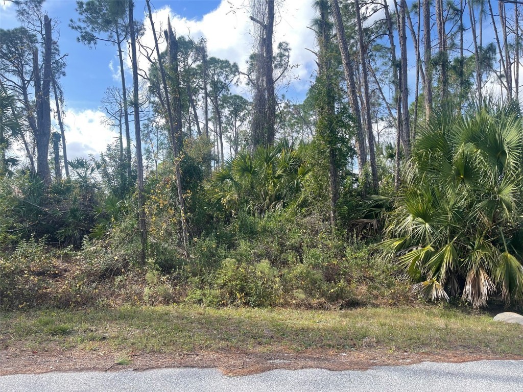 Hagoplan Lane #3 North Port FL 34288 D6134140 image1