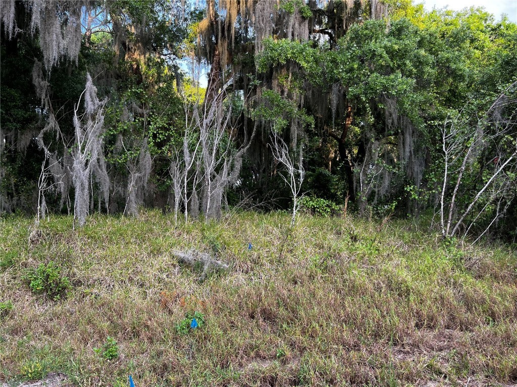 Haines Creek Road Leesburg FL 34788 G5080135 image1