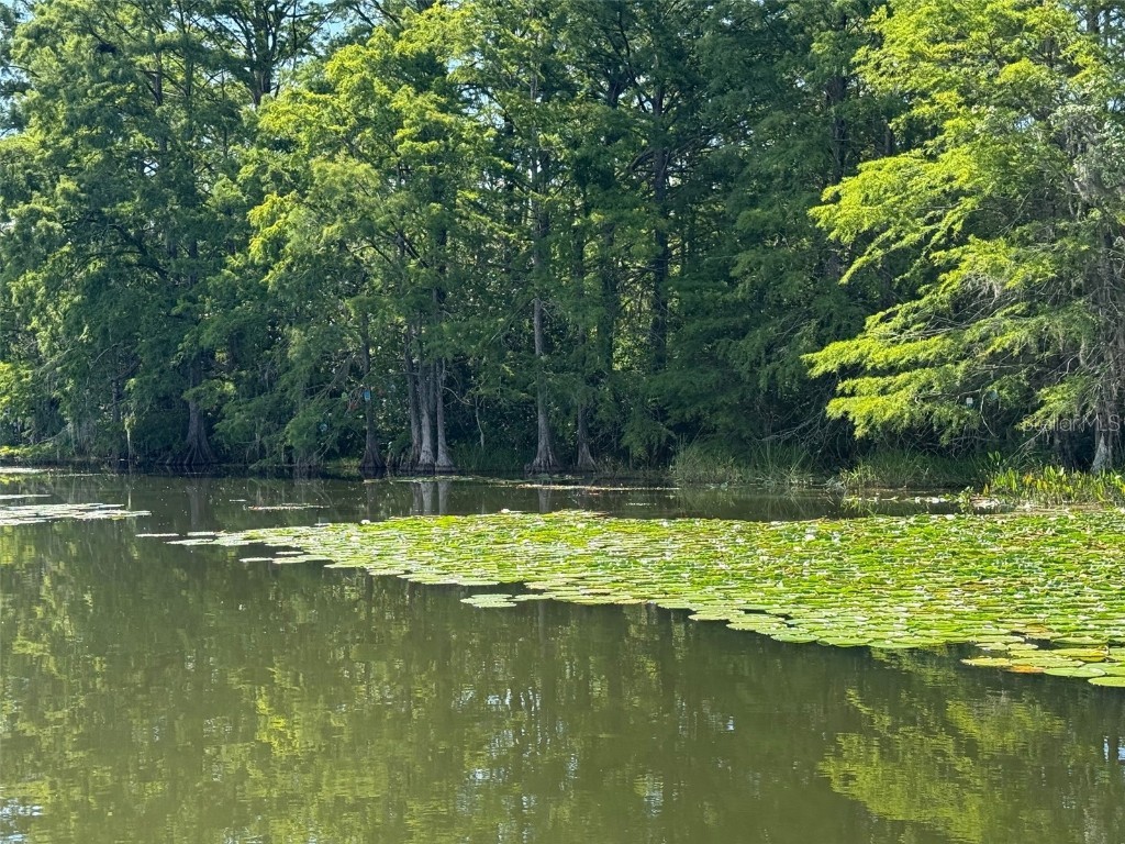 Haines Creek Road Leesburg FL 34788 O6322107 image11