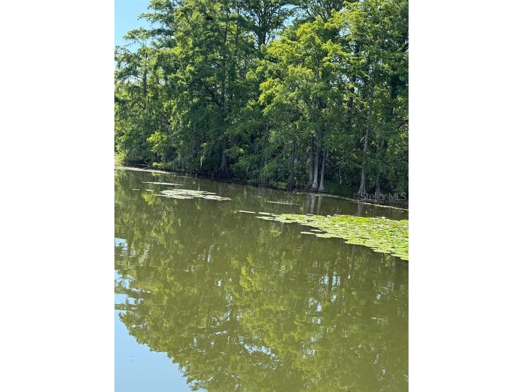 Haines Creek Road Leesburg FL 34788 O6322107 image12