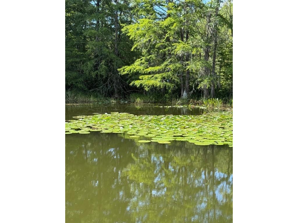 Haines Creek Road Leesburg FL 34788 O6322107 image13