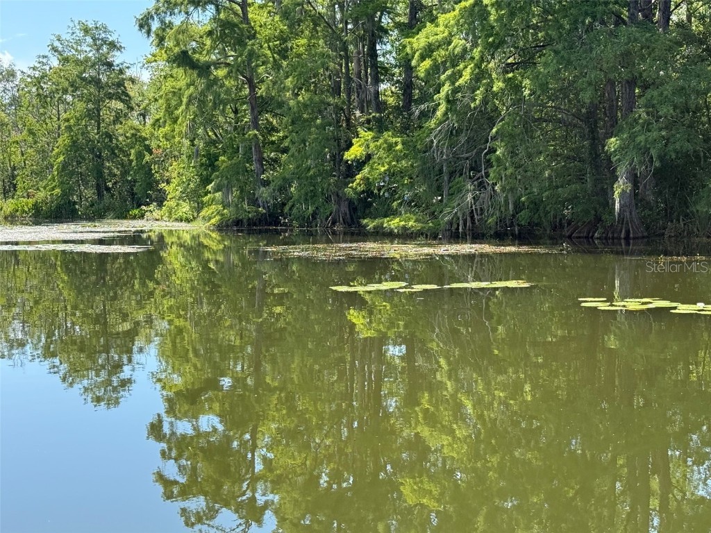 Haines Creek Road Leesburg FL 34788 O6322107 image14