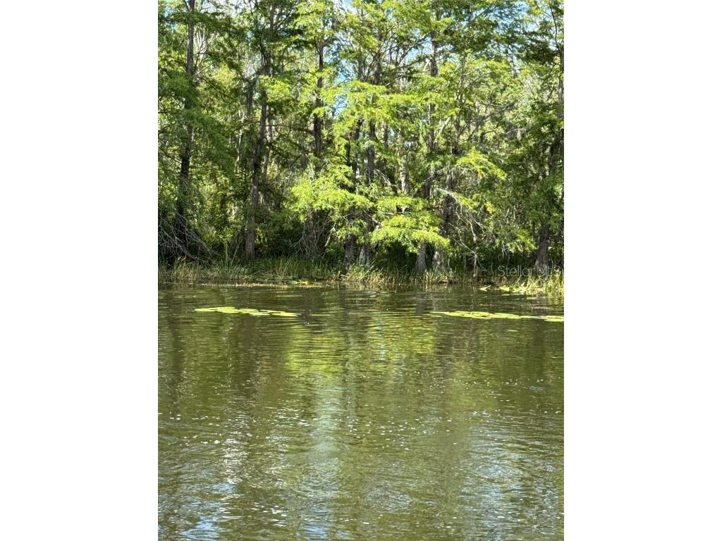 Haines Creek Road Leesburg FL 34788 O6322107 image15