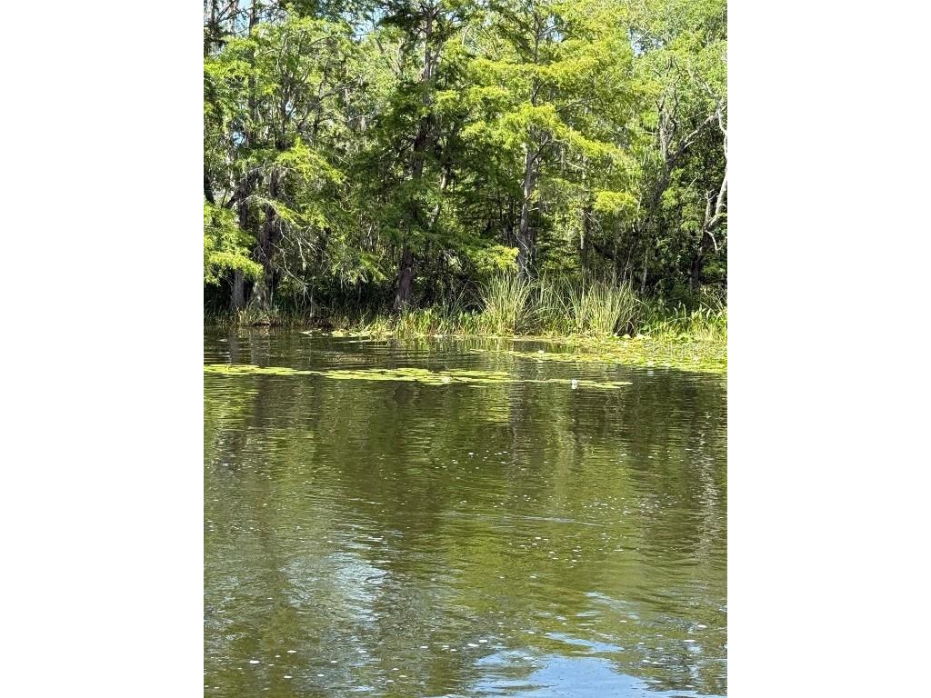 Haines Creek Road Leesburg FL 34788 O6322107 image16