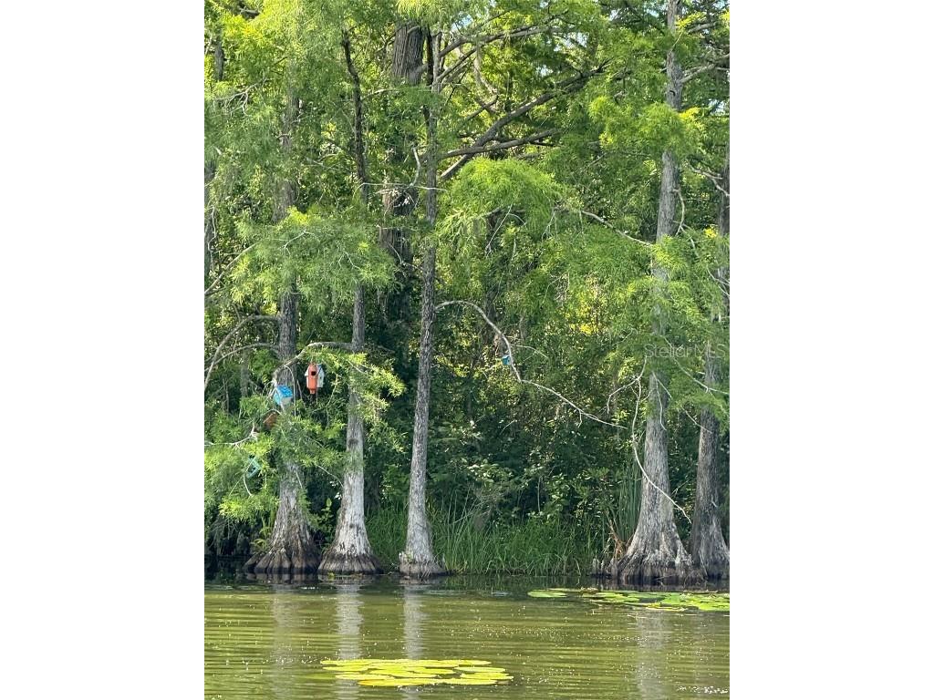 Haines Creek Road Leesburg FL 34788 O6322107 image17