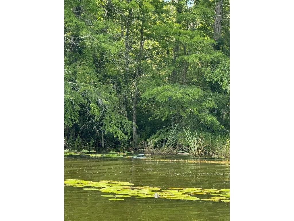 Haines Creek Road Leesburg FL 34788 O6322107 image19