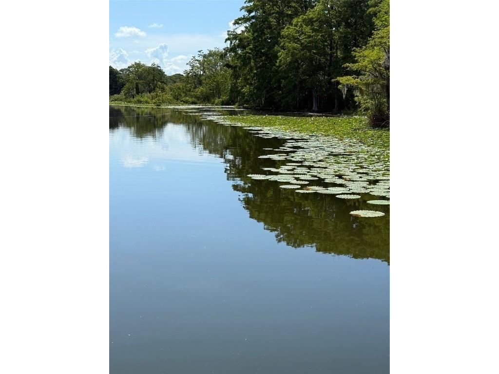 Haines Creek Road Leesburg FL 34788 O6322107 image20