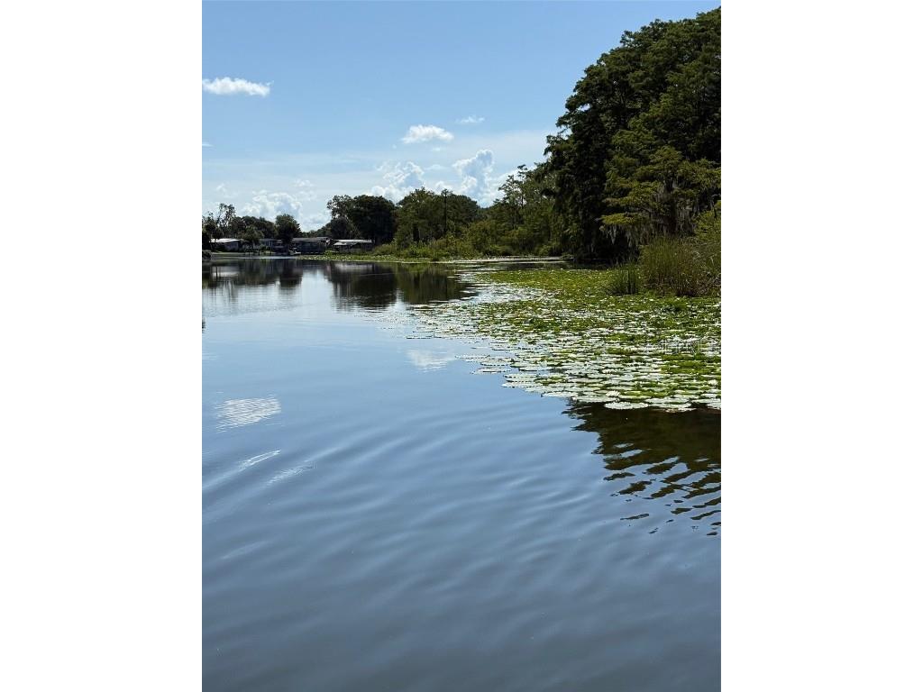 Haines Creek Road Leesburg FL 34788 O6322107 image7