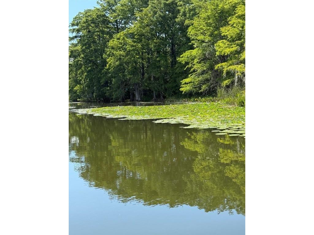 Haines Creek Road Leesburg FL 34788 O6322107 image9