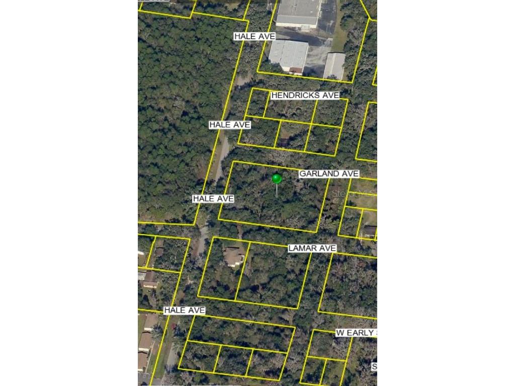 Hale Avenue Brooksville FL 34601 W7872218 image1