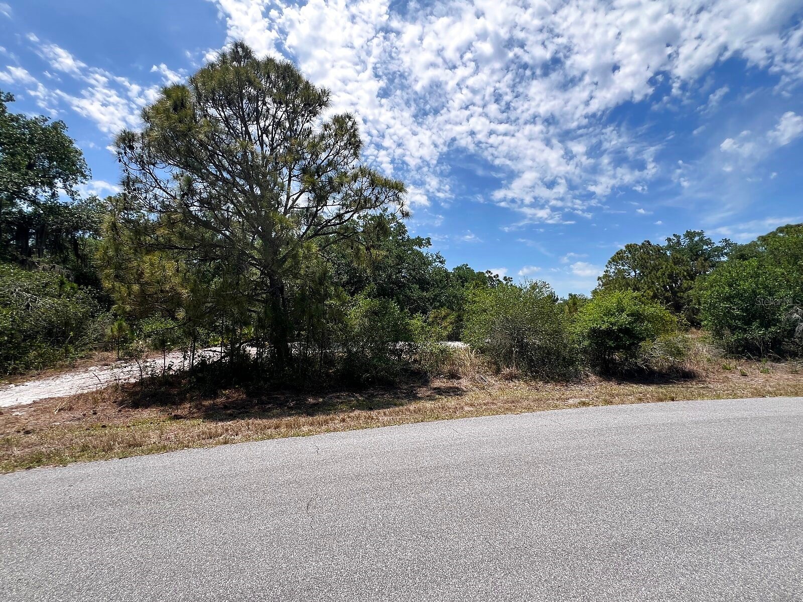 Lot 25 Hamer Terrace North Port FL 34291 C7525723 image1