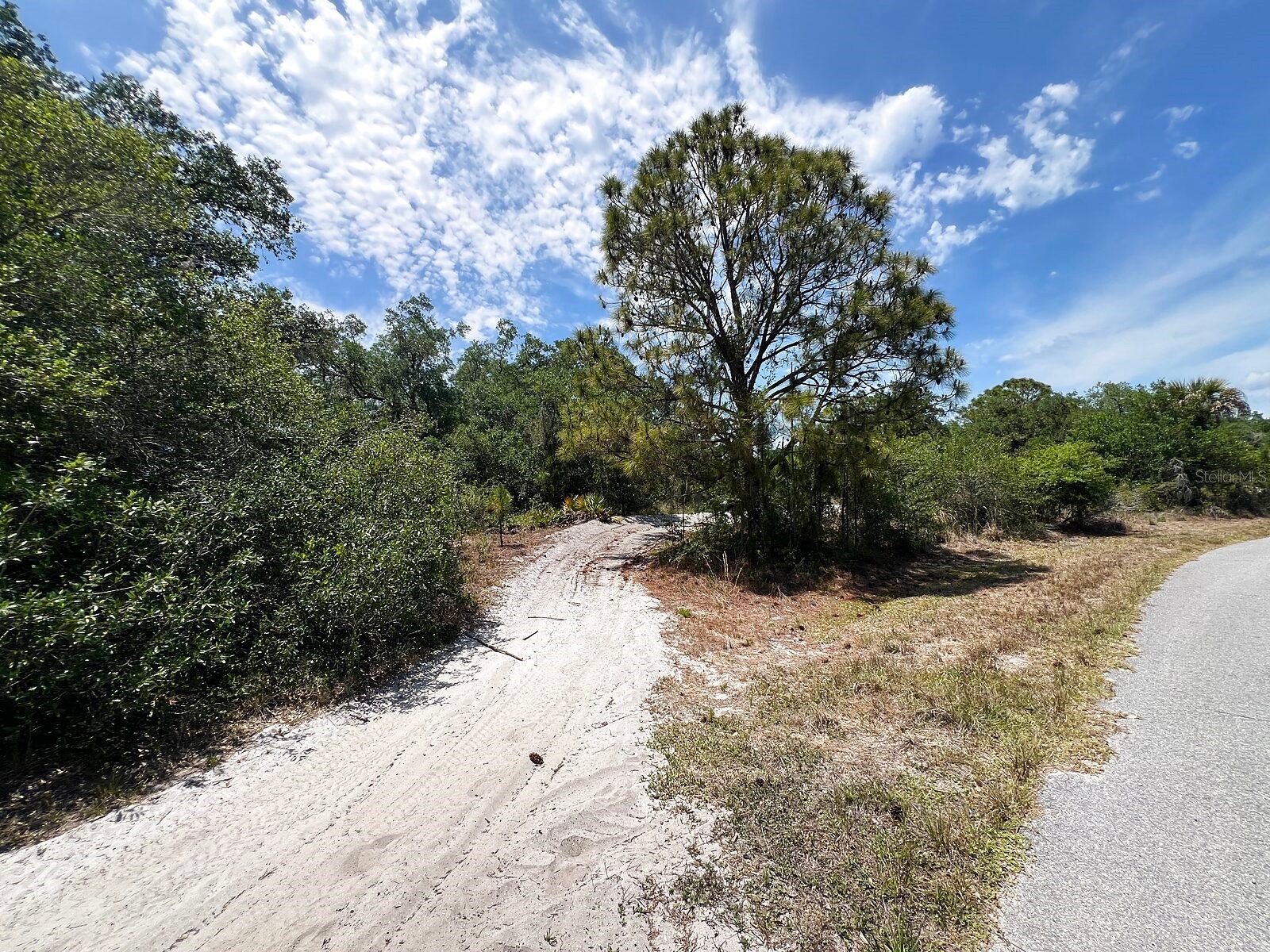 Lot 25 Hamer Terrace North Port FL 34291 C7525723 image3