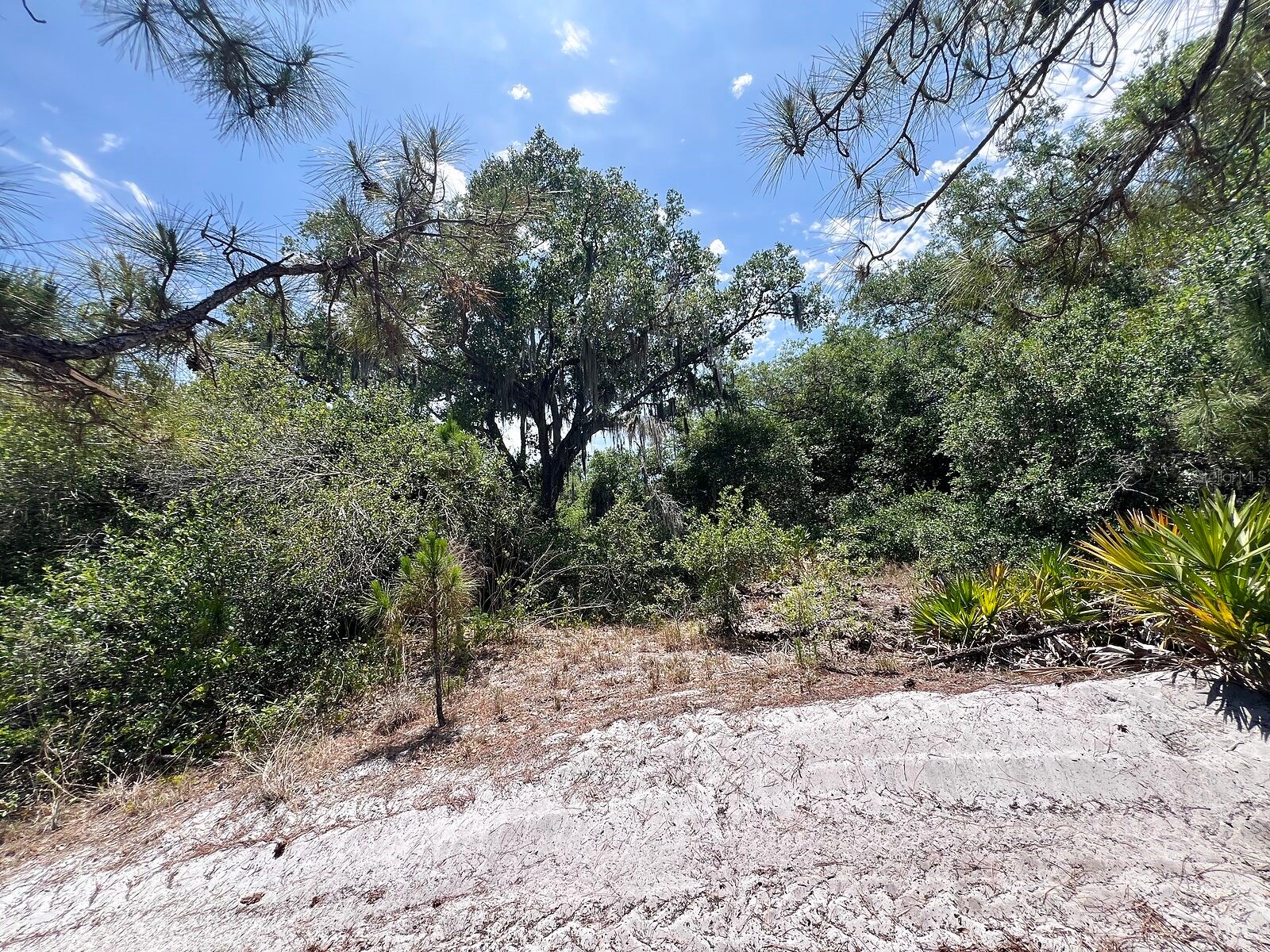 Lot 25 Hamer Terrace North Port FL 34291 C7525723 image6