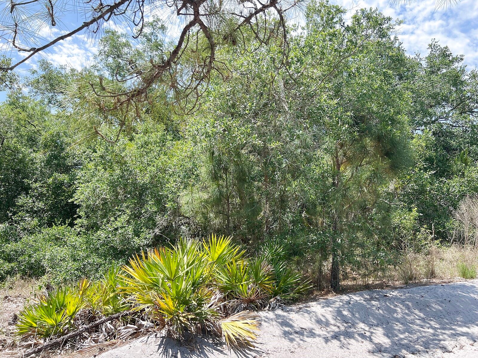 Lot 25 Hamer Terrace North Port FL 34291 C7525723 image7