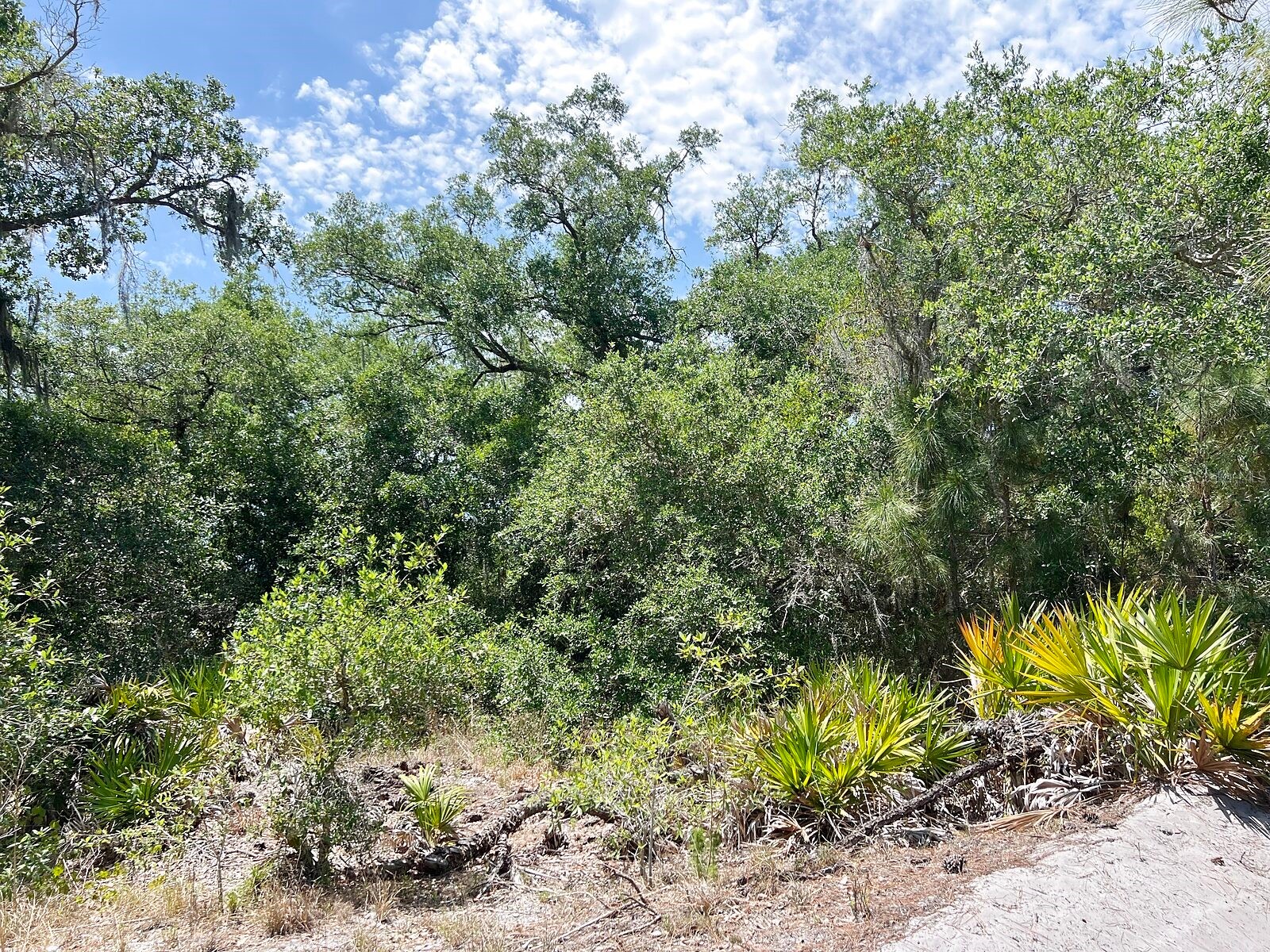 Lot 25 Hamer Terrace North Port FL 34291 C7525723 image9