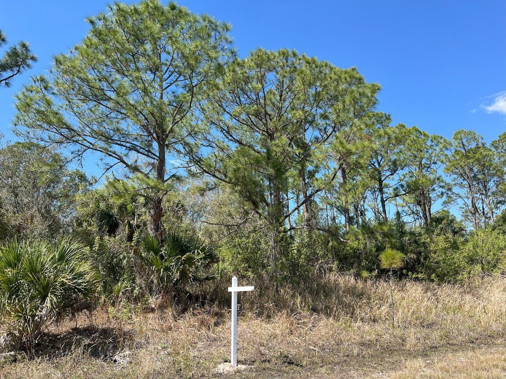 Hamerton Road #LOT 6 North Port FL 34288 C7505505 image1