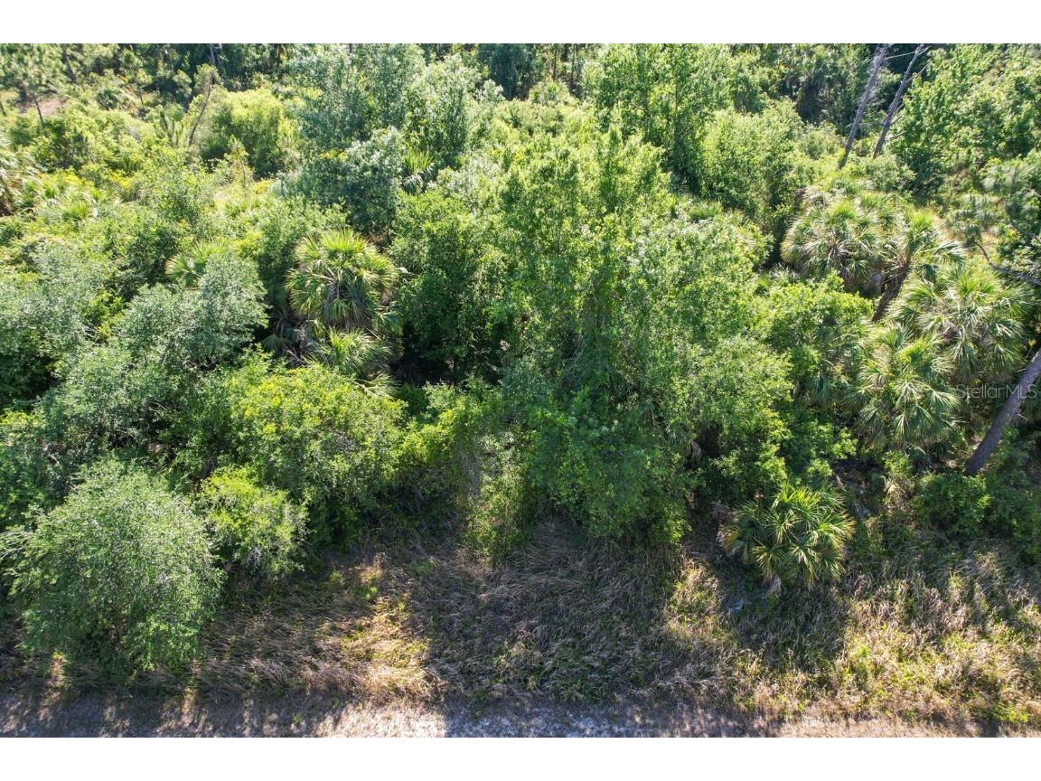 Hamerton Road North Port FL 34288 N6138762 image1