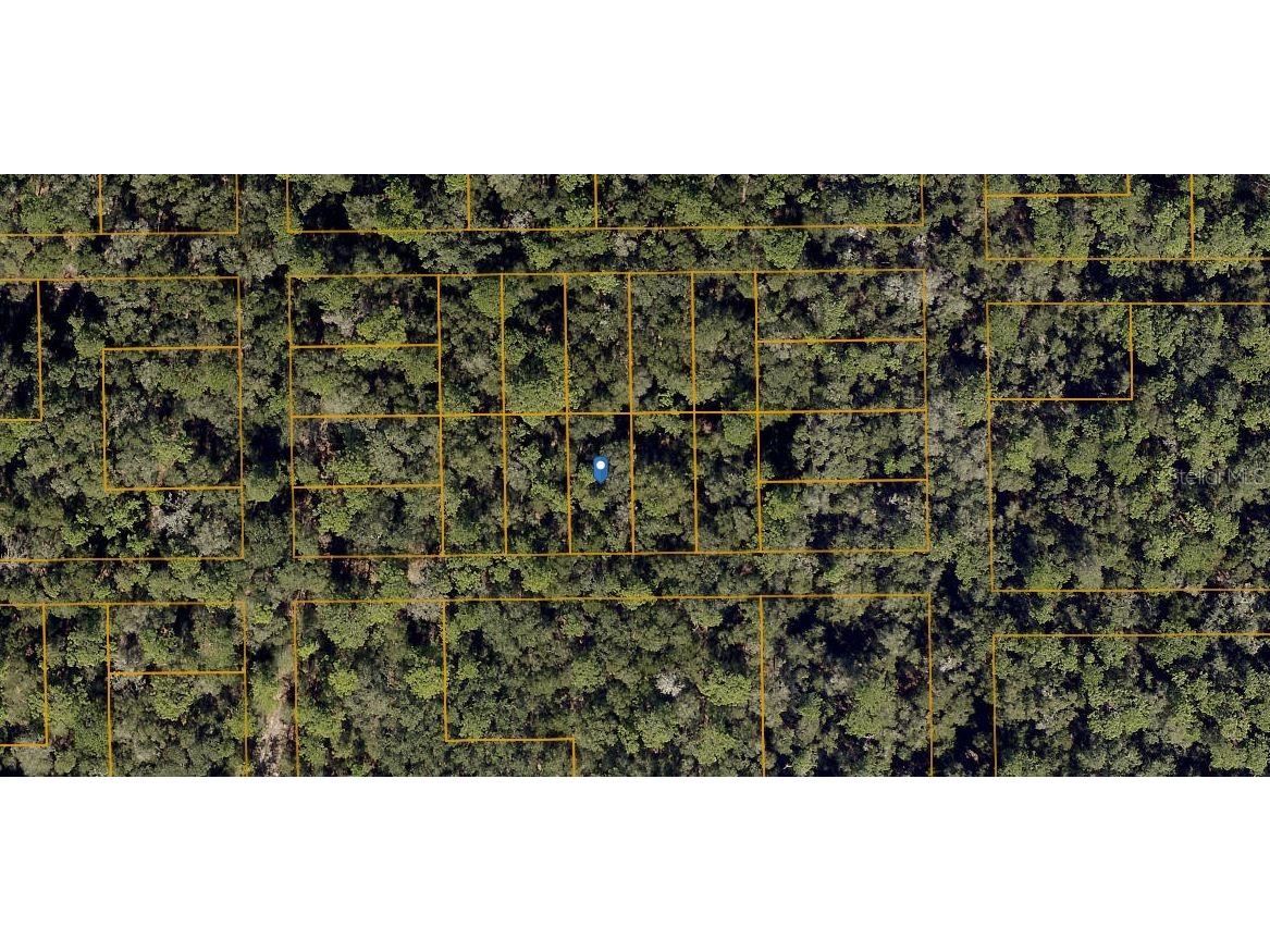 Hamilton Ave Orange City FL 32763 O6290651 image1