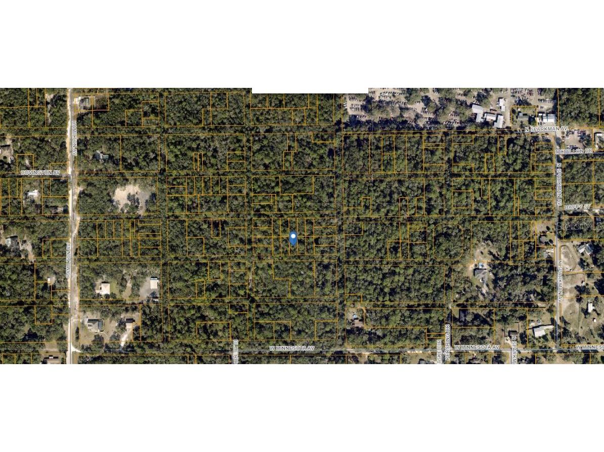 Hamilton Ave Orange City FL 32763 O6290651 image2