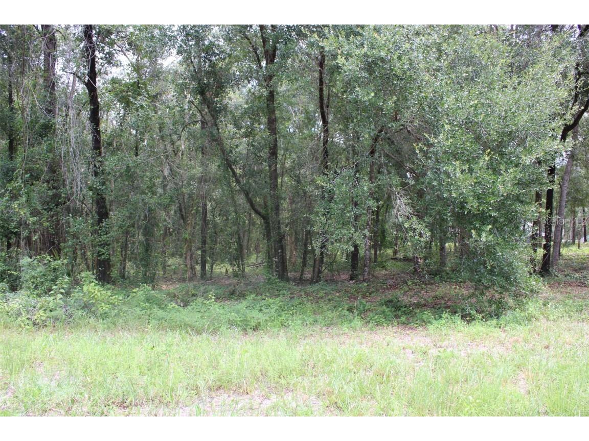 Hamilton Avenue Orange City FL 32763 V4931642 image1