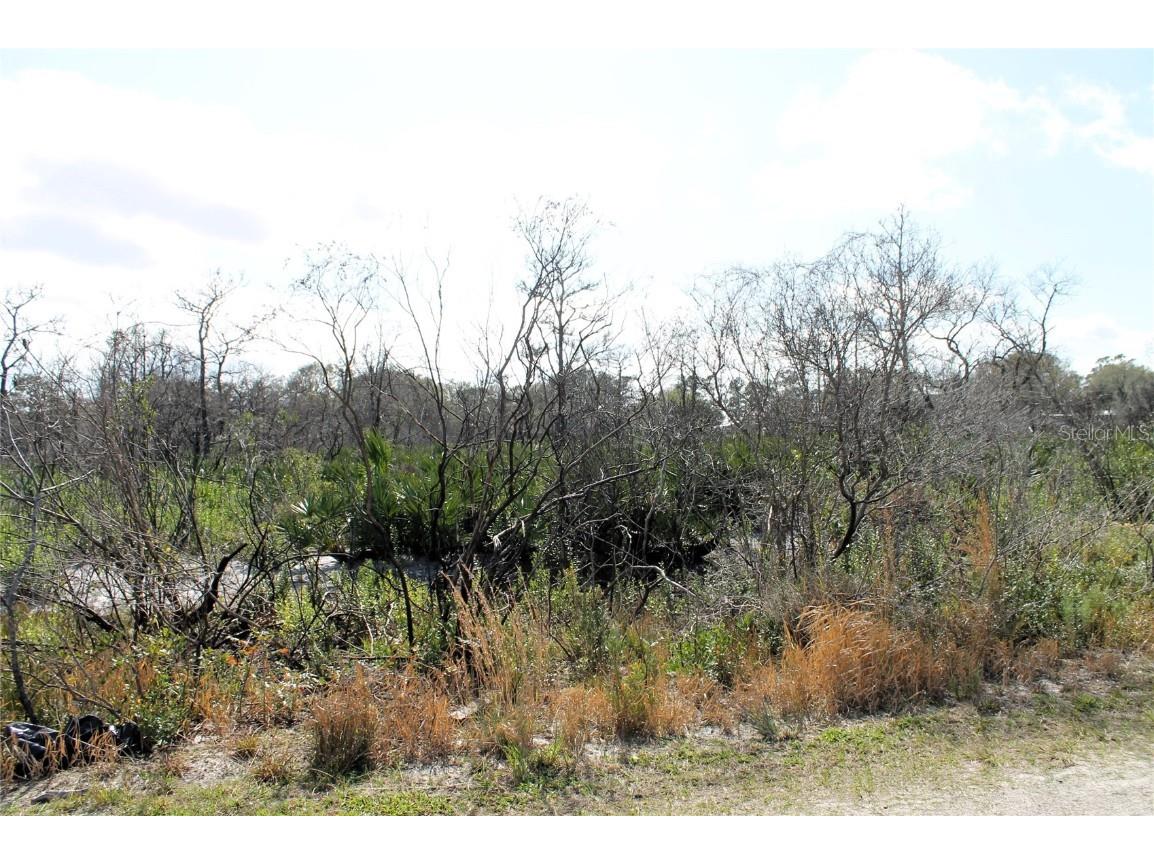 Hammermill Avenue Lake Wales FL 33859 - LAKE LIZZY P4928970 image1