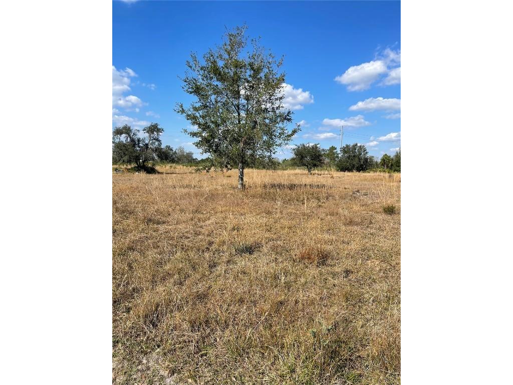 Hammermill Avenue Lake Wales FL 33859 S5135519 image1