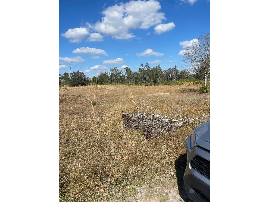 Hammermill Avenue Lake Wales FL 33859 S5135519 image2