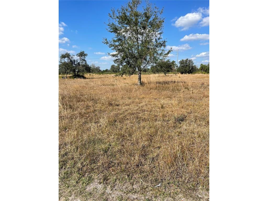 Hammermill Avenue Lake Wales FL 33859 S5135519 image4