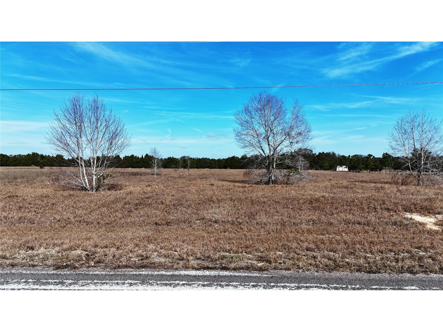 Hammock Grove Road Groveland FL 34736 G5106943 image4