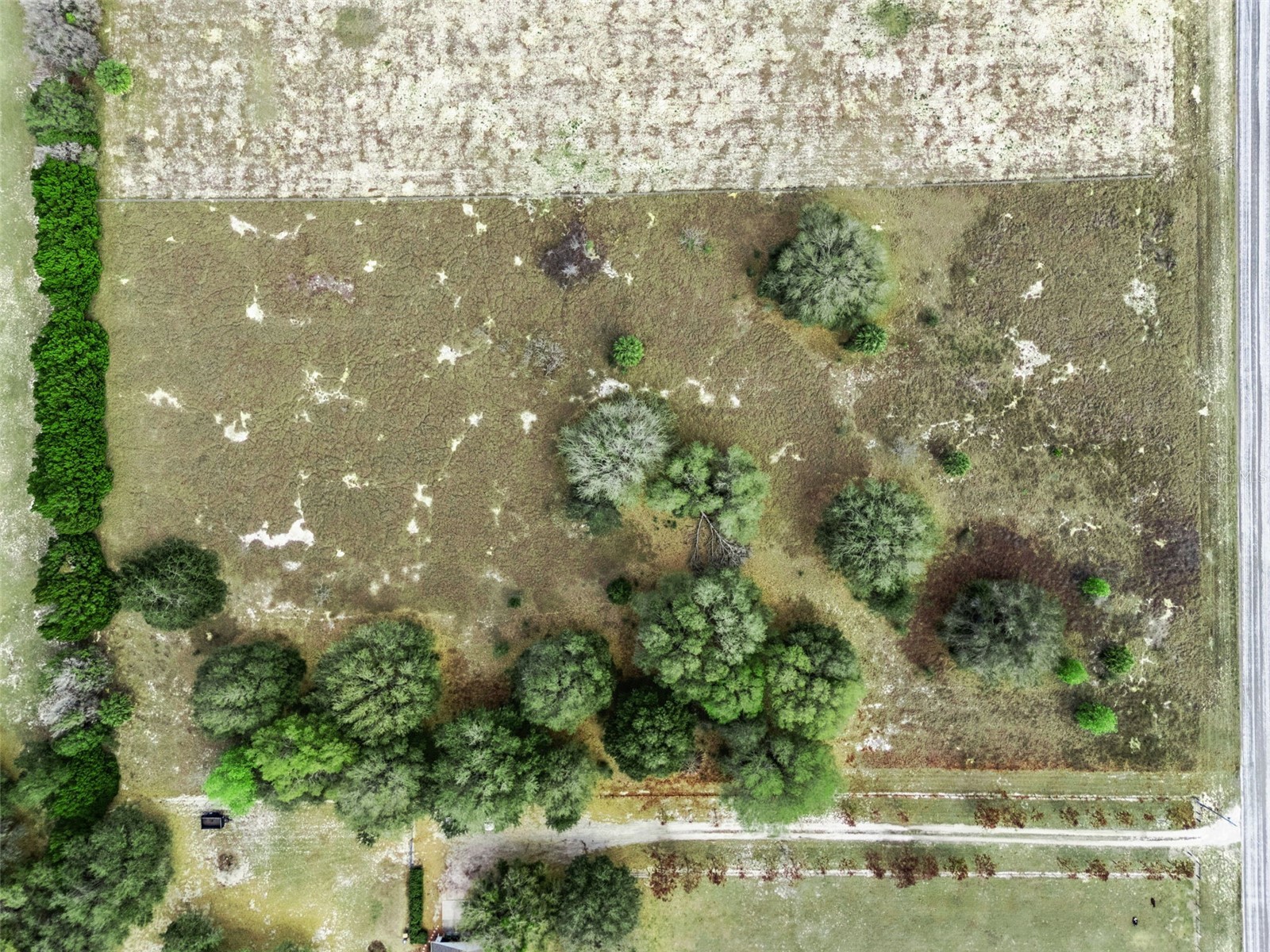 Hammock Grove Road Groveland FL 34736 O6387394 image5