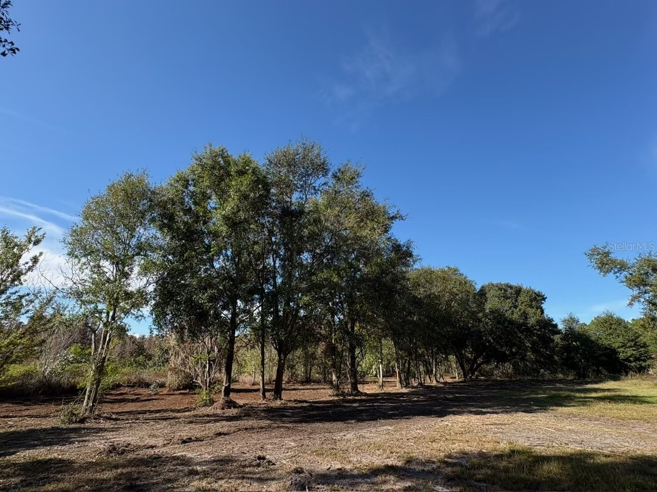 Hammock Loop Polk City FL 33868 B4902134 image1
