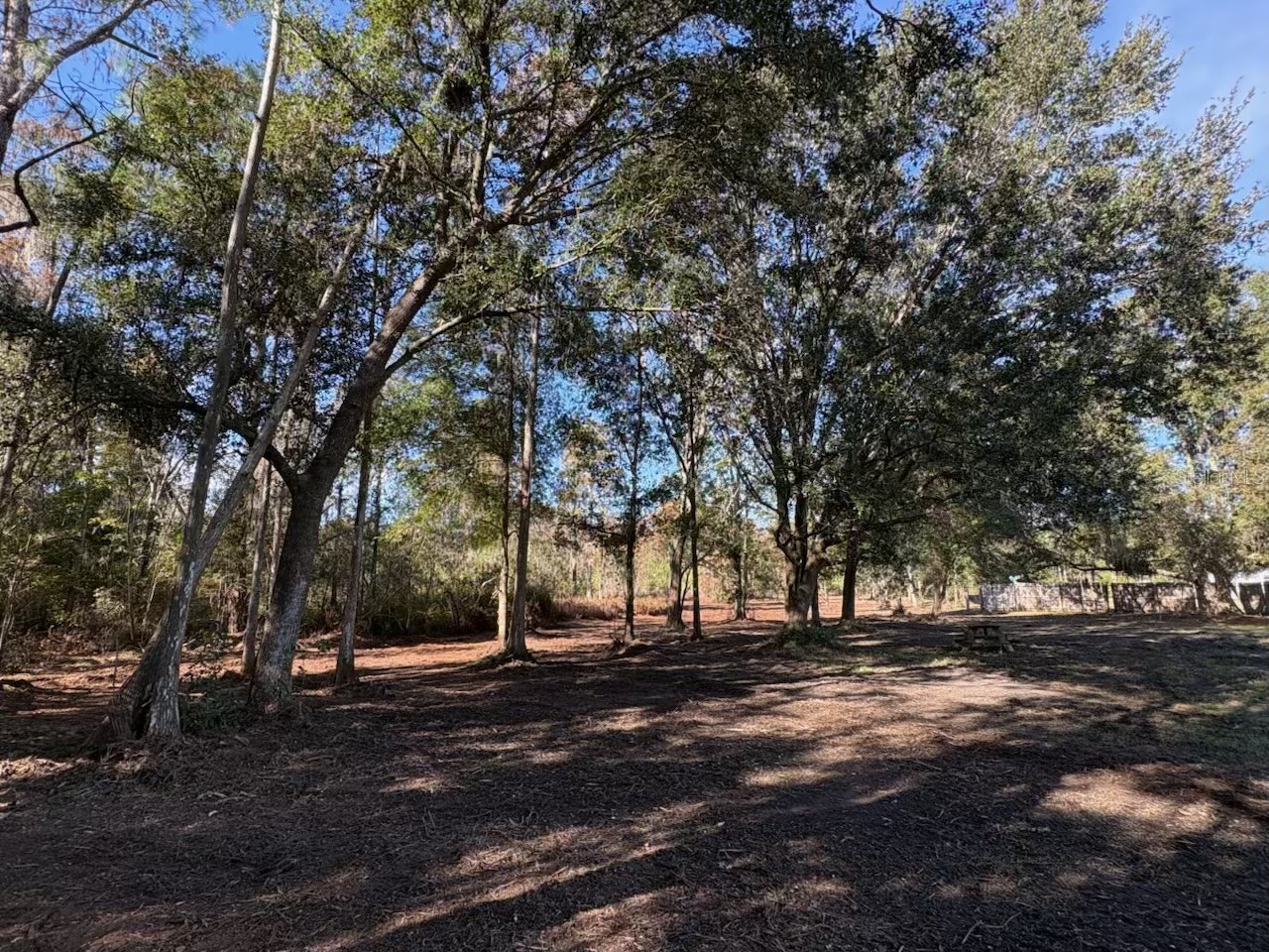 Hammock Loop Polk City FL 33868 B4902134 image2