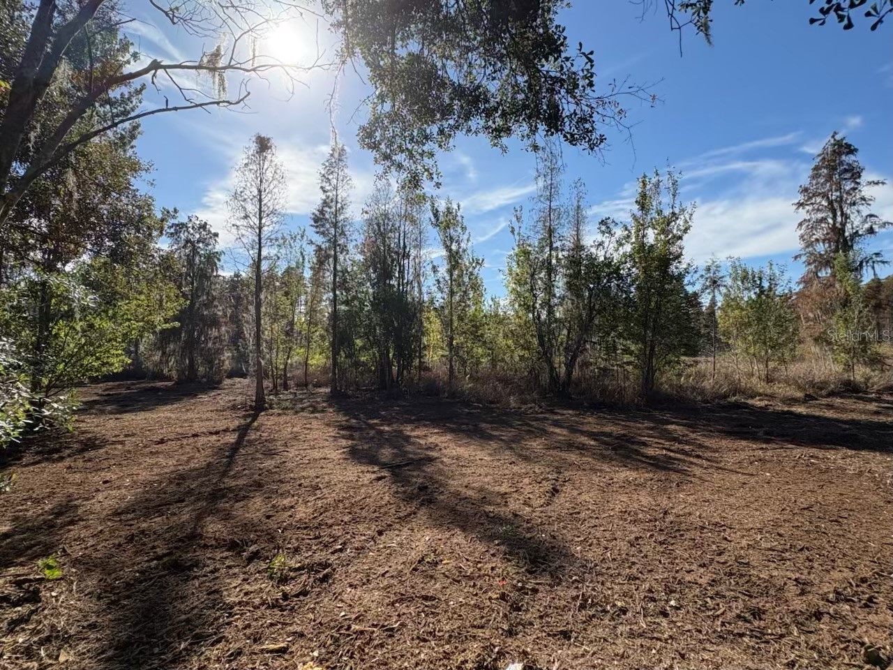 Hammock Loop Polk City FL 33868 B4902134 image6