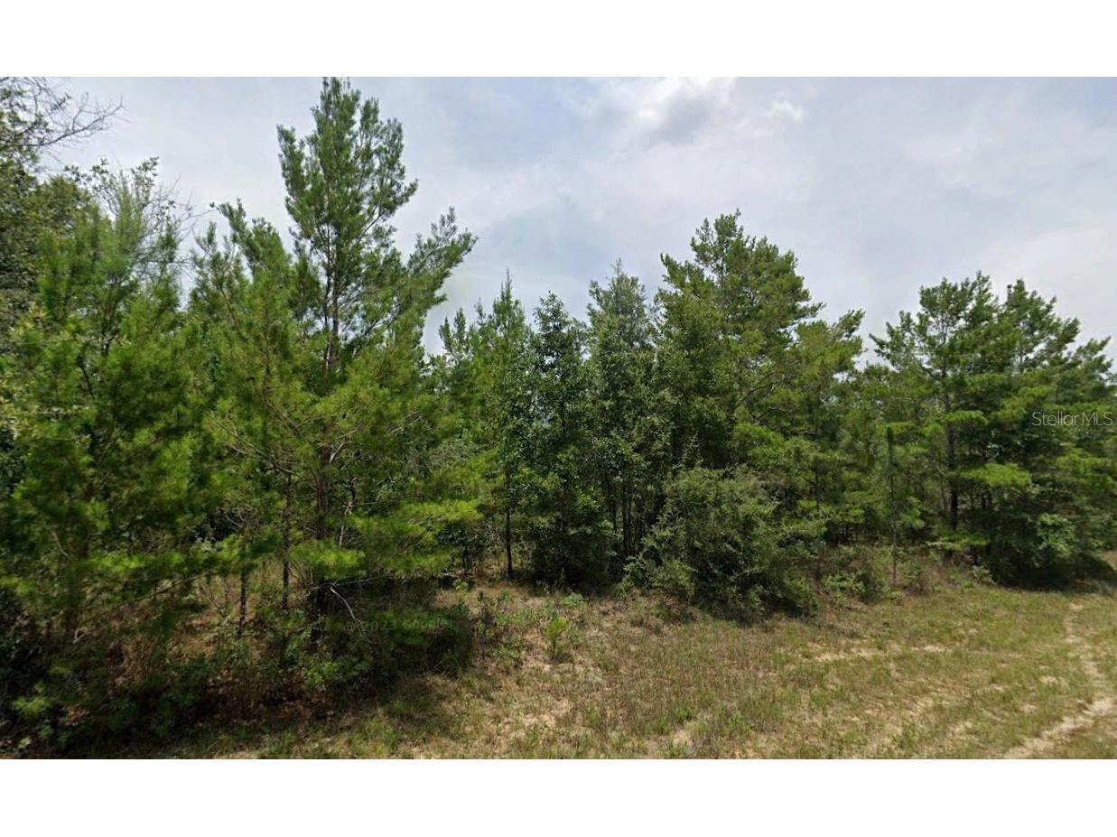 Hampshire Boulevard Chipley FL 32428 O6170616 image1