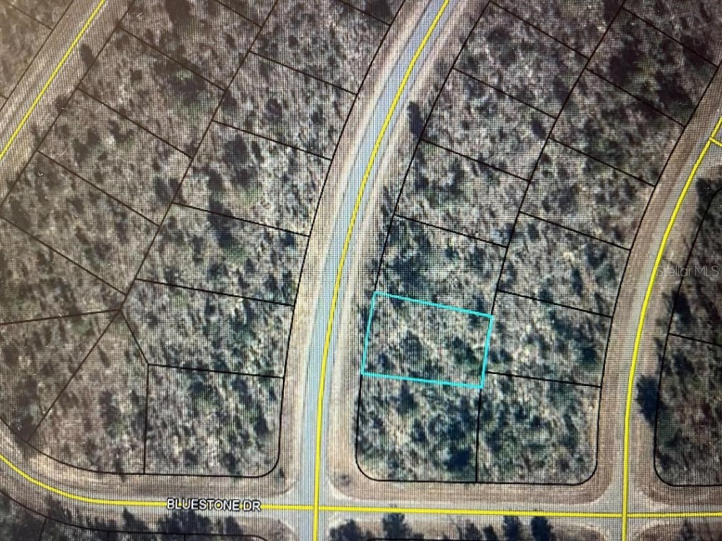 Hampshire Boulevard Chipley FL 32428 OM651778 image1