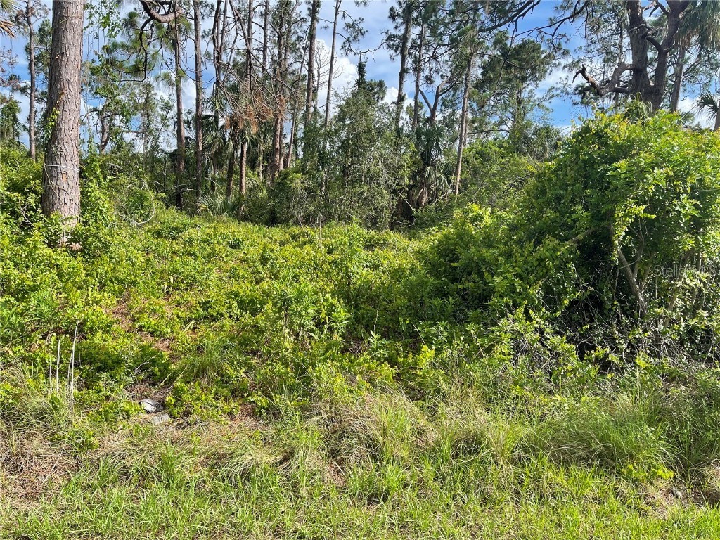 Hansard Avenue North Port FL 34286 C7476399 image1