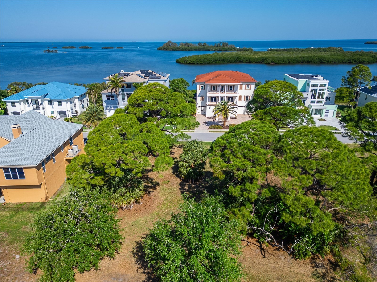 Harbour Watch Circle Tarpon Springs FL 34689 TB8492049 image16