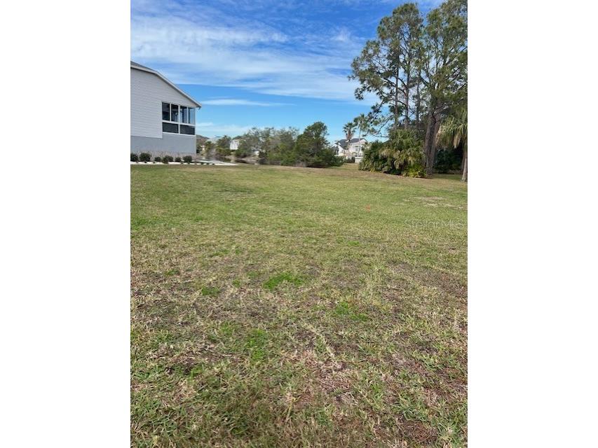 Harbour Watch Drive Tarpon Springs FL 34689 TB8337133 image4