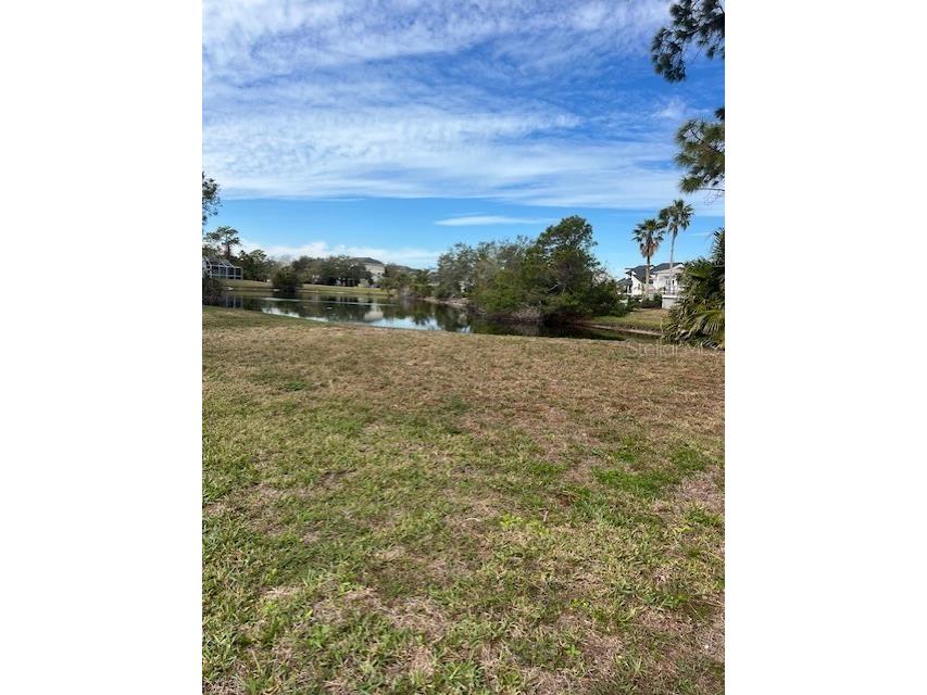 Harbour Watch Drive Tarpon Springs FL 34689 TB8337133 image5