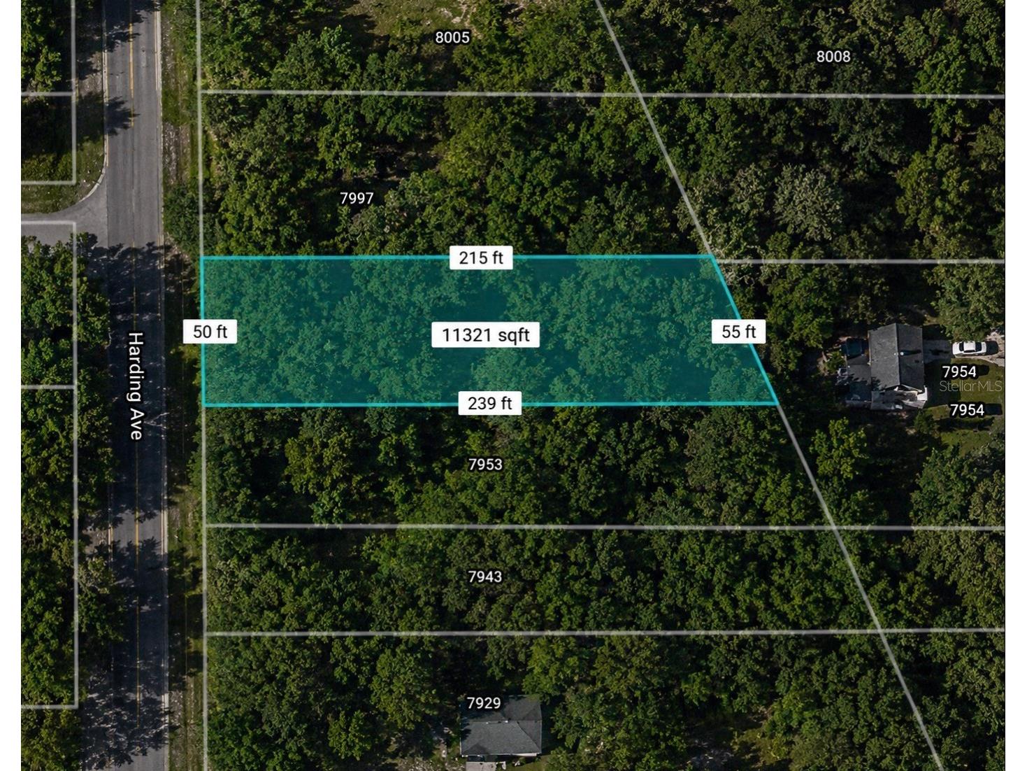 Harding Avenue Jacksonville FL 32219 TB8529205 image2