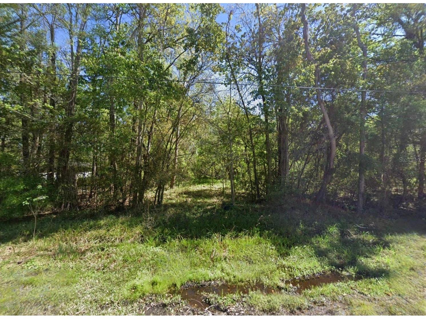 Harding Avenue Jacksonville FL 32219 TB8529205 image3