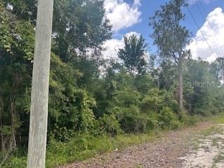 Hardstone Drive Webster FL 33597 G5097782 image3