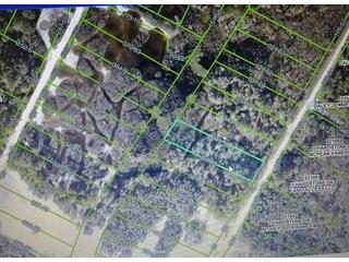 Hardstone Drive Webster FL 33597 G5097782 image6