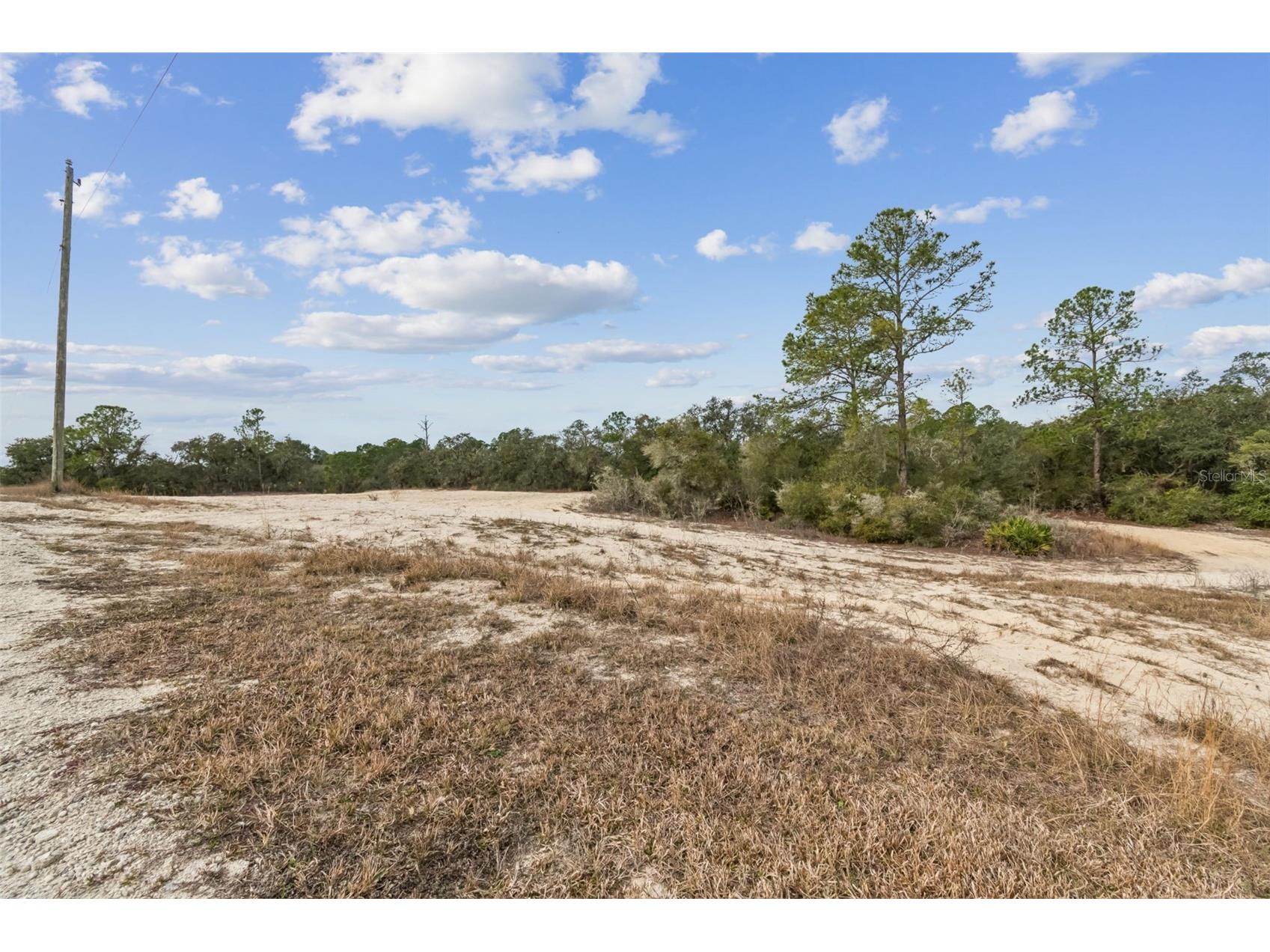 Hardstone Drive Webster FL 33597 TB8463602 image1